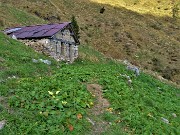 74 In discesa da Cima Cadelle a Foppolo sul sent. 201, passaggio a baita